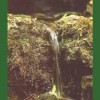 Rock Water / Agua de Roca 